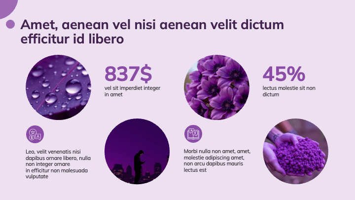Bold Circle Violet slide 7